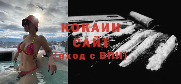ГАЛЛЮЦИНОГЕННЫЕ ГРИБЫ Абаза