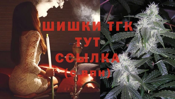 стаф Абинск