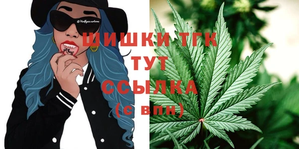 ГАЛЛЮЦИНОГЕННЫЕ ГРИБЫ Абаза