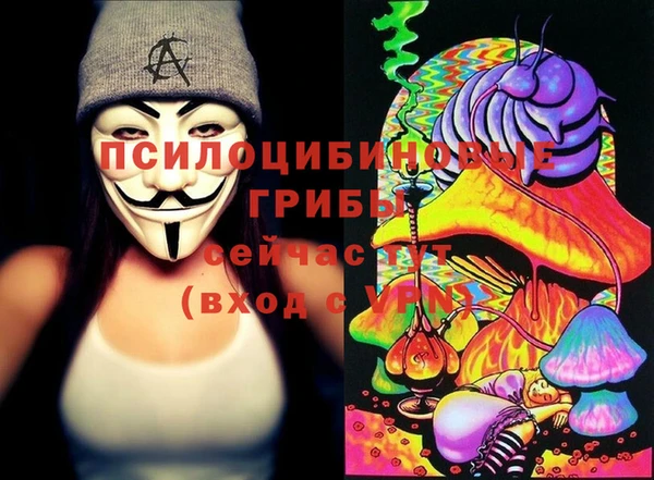 ГАЛЛЮЦИНОГЕННЫЕ ГРИБЫ Абаза